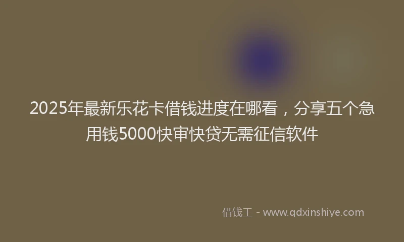 2025年最新乐花卡借钱进度在哪看，分享五个急用钱5000快审快贷无需征信软件