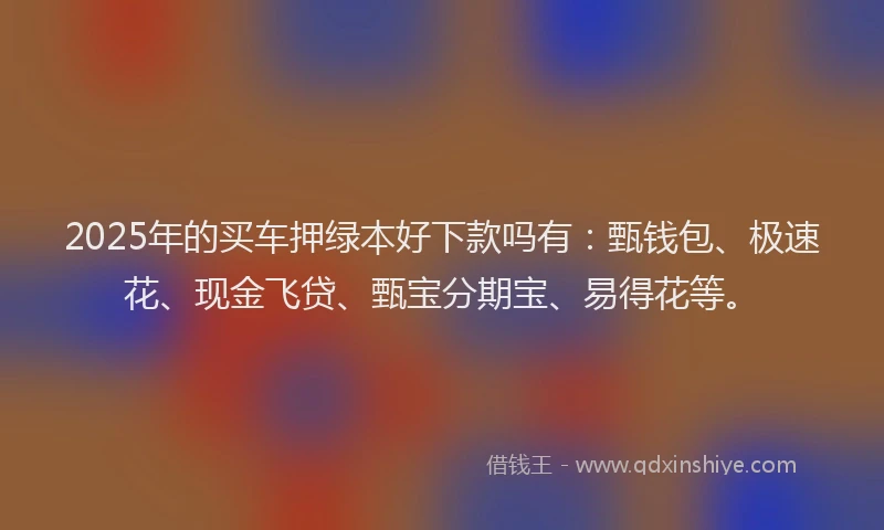 2025年的买车押绿本好下款吗有：甄钱包、极速花、现金飞贷、甄宝分期宝、易得花等。