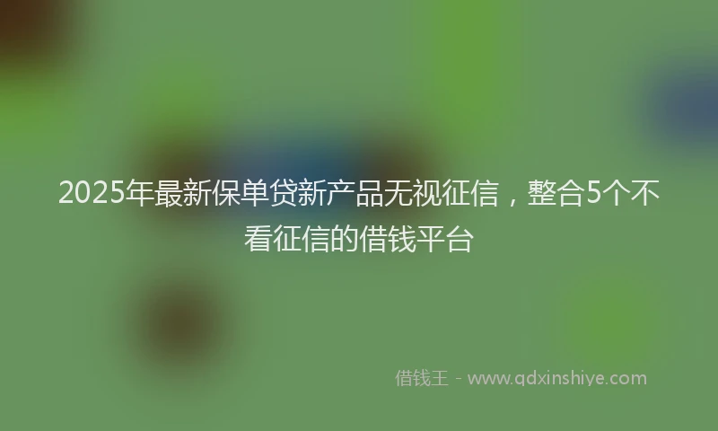 2025年最新保单贷新产品无视征信，整合5个不看征信的借钱平台