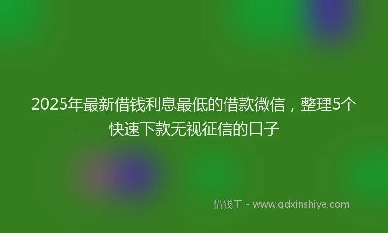2025年最新借钱利息最低的借款微信，整理5个快速下款无视征信的口子
