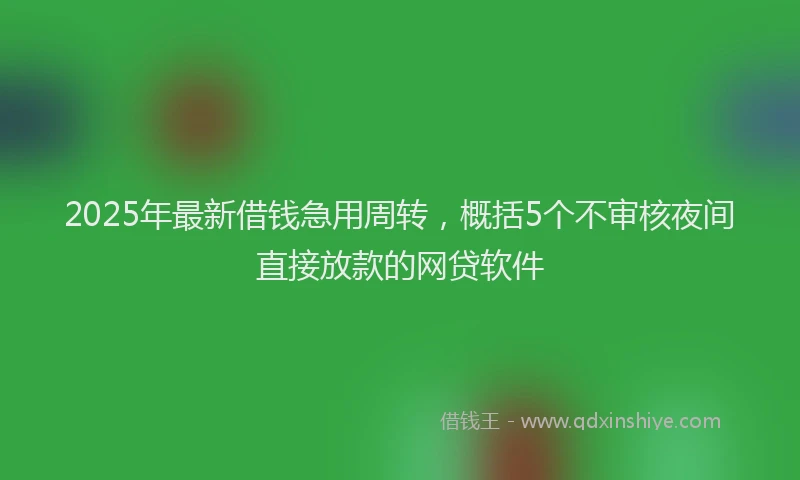 2025年最新借钱急用周转，概括5个不审核夜间直接放款的网贷软件