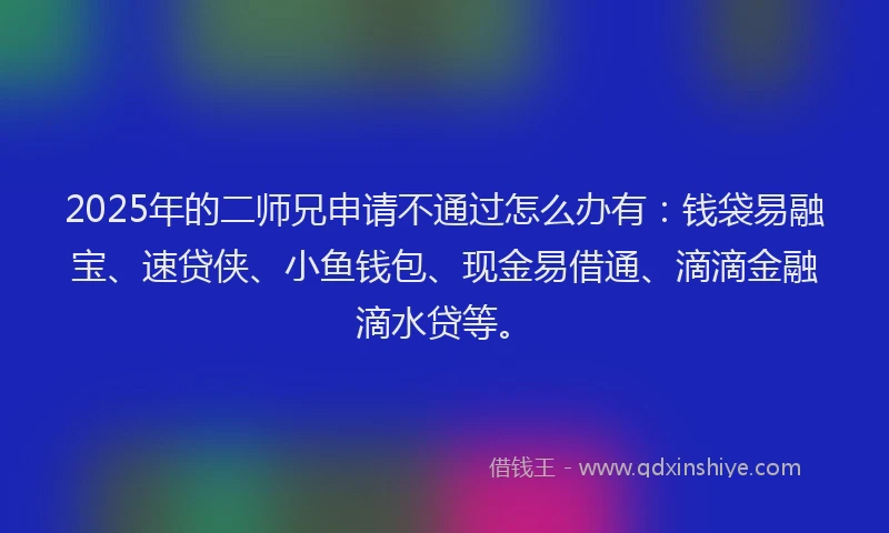 2025年的二师兄申请不通过怎么办有：钱袋易融宝、速贷侠、小鱼钱包、现金易借通、滴滴金融滴水贷等。