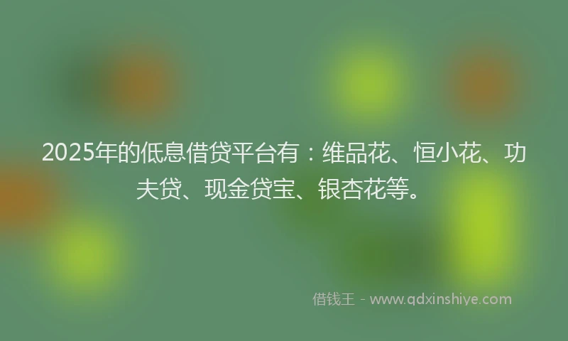 2025年的低息借贷平台有：维品花、恒小花、功夫贷、现金贷宝、银杏花等。