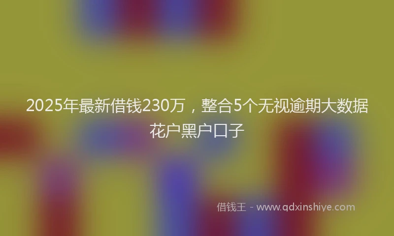 2025年最新借钱230万，整合5个无视逾期大数据花户黑户口子