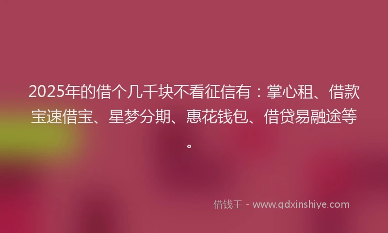 2025年的借个几千块不看征信有：掌心租、借款宝速借宝、星梦分期、惠花钱包、借贷易融途等。