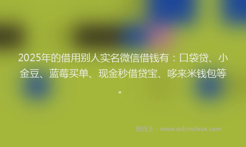 2025年的借用别人实名微信借钱有：口袋贷、小金豆、蓝莓买单、现金秒借贷宝、哆来米钱包等。
