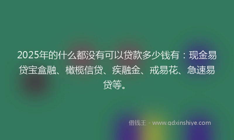 2025年的什么都没有可以贷款多少钱有：现金易贷宝盒融、橄榄信贷、疾融金、戒易花、急速易贷等。