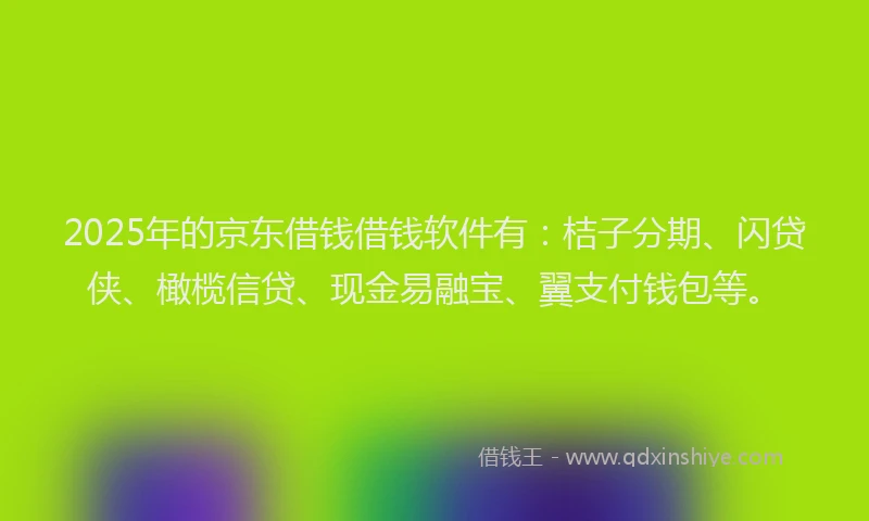2025年的京东借钱借钱软件有：桔子分期、闪贷侠、橄榄信贷、现金易融宝、翼支付钱包等。