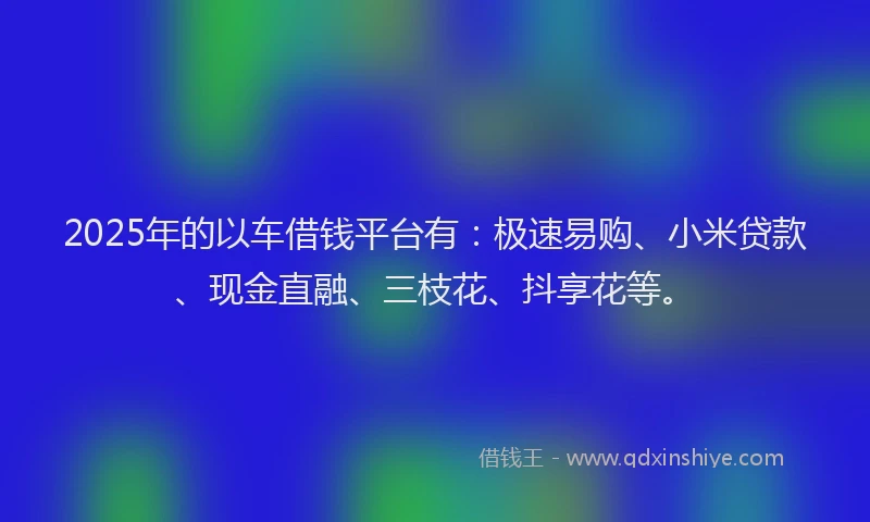 2025年的以车借钱平台有：极速易购、小米贷款、现金直融、三枝花、抖享花等。