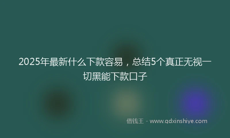 2025年最新什么下款容易，总结5个真正无视一切黑能下款口子