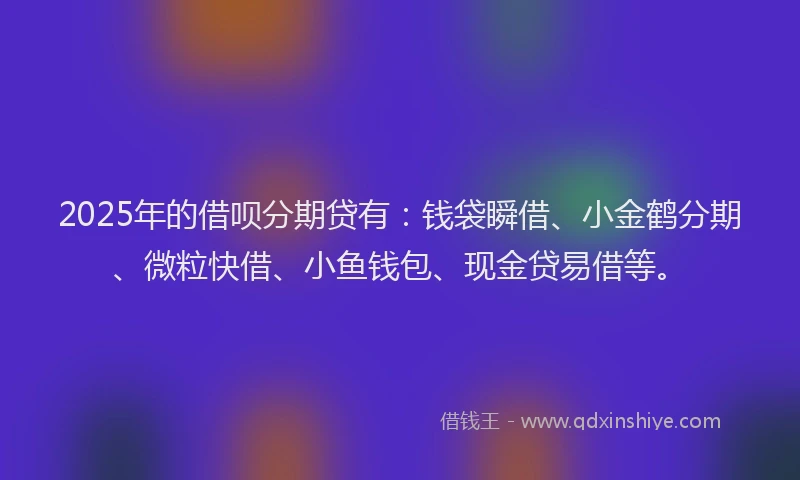 2025年的借呗分期贷有：钱袋瞬借、小金鹤分期、微粒快借、小鱼钱包、现金贷易借等。