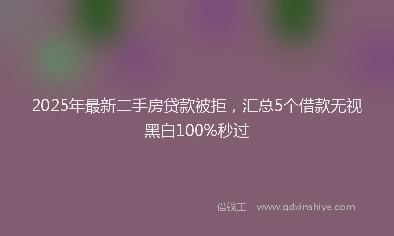 2025年最新二手房贷款被拒，汇总5个借款无视黑白100%秒过