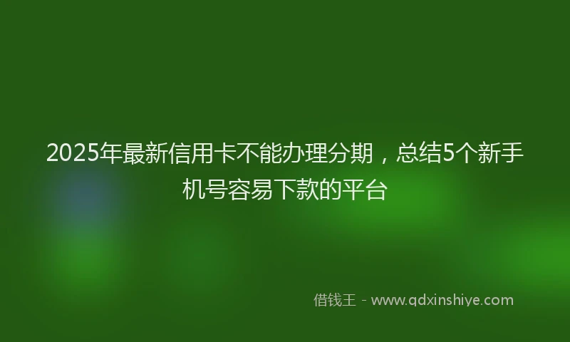 2025年最新信用卡不能办理分期，总结5个新手机号容易下款的平台