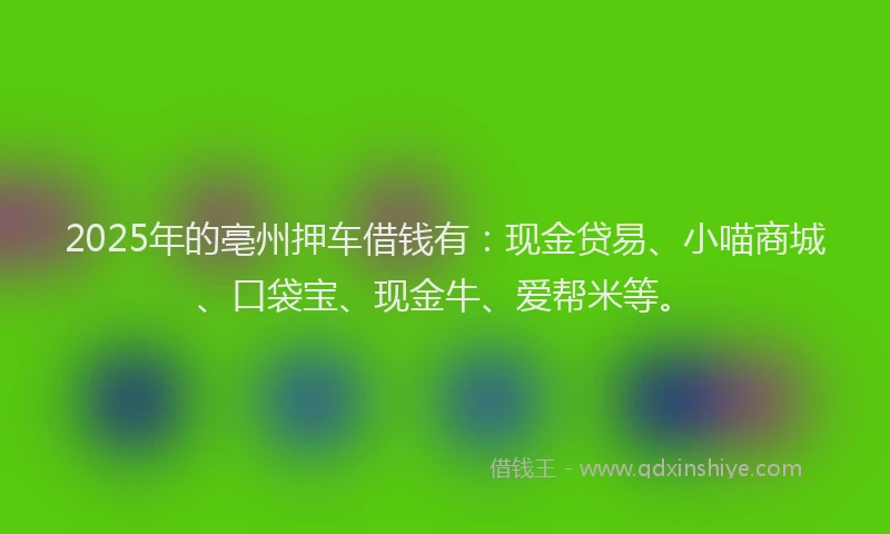 2025年的亳州押车借钱有：现金贷易、小喵商城、口袋宝、现金牛、爱帮米等。