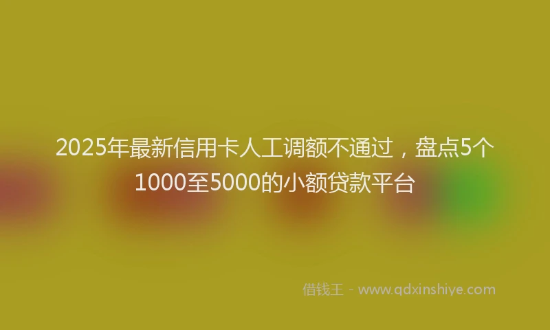 2025年最新信用卡人工调额不通过，盘点5个1000至5000的小额贷款平台
