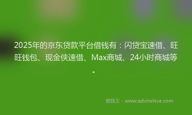 2025年的京东贷款平台借钱有：闪贷宝速借、旺旺钱包、现金侠速借、Max商城、24小时商城等。