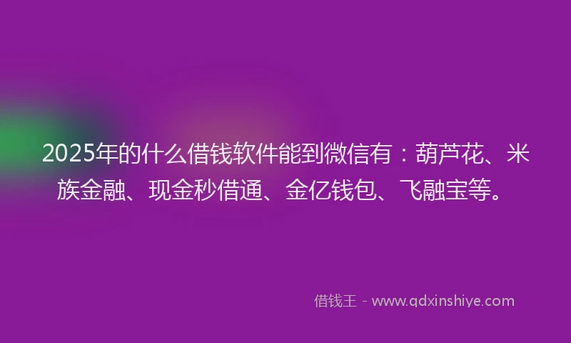 2025年的什么借钱软件能到微信有：葫芦花、米族金融、现金秒借通、金亿钱包、飞融宝等。