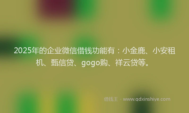 2025年的企业微信借钱功能有：小金鹿、小安租机、甄信贷、gogo购、祥云贷等。