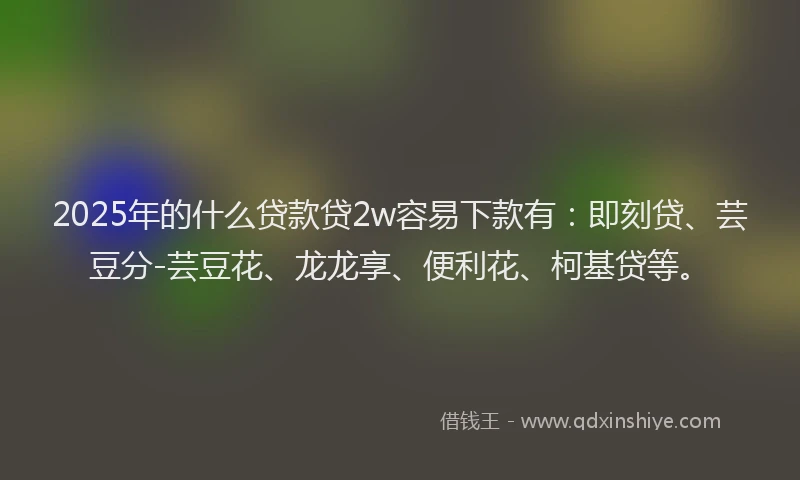 2025年的什么贷款贷2w容易下款有：即刻贷、芸豆分-芸豆花、龙龙享、便利花、柯基贷等。