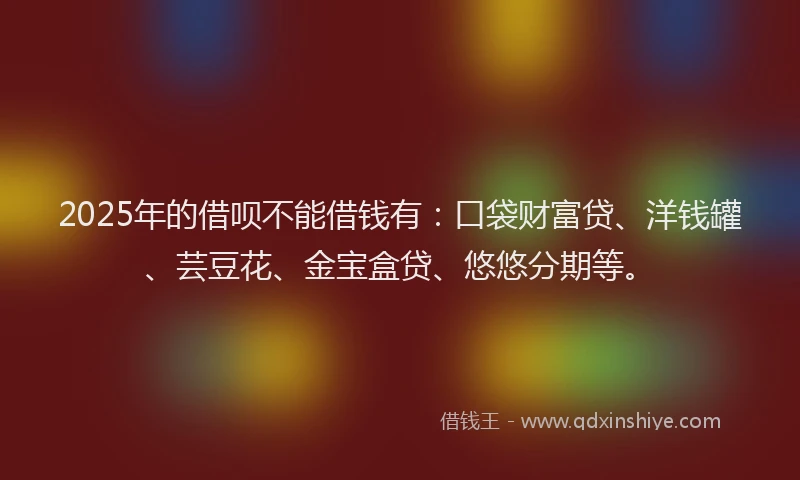 2025年的借呗不能借钱有：口袋财富贷、洋钱罐、芸豆花、金宝盒贷、悠悠分期等。