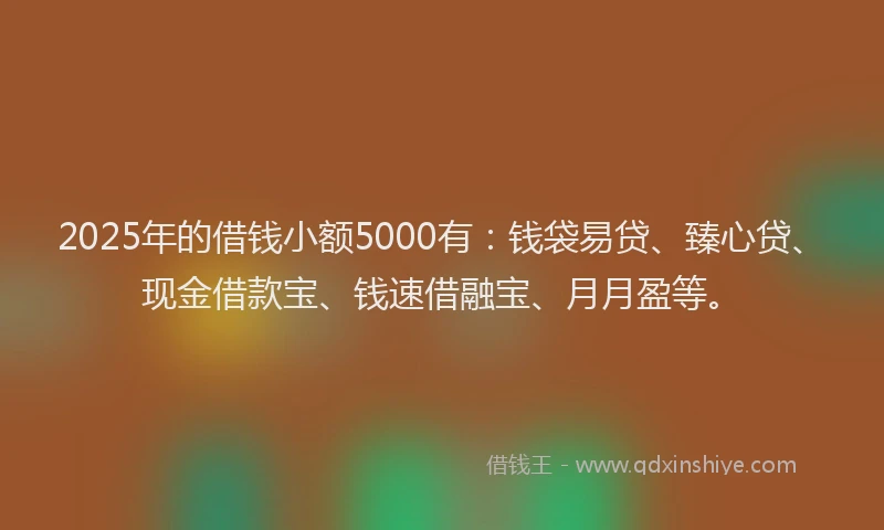 2025年的借钱小额5000有：钱袋易贷、臻心贷、现金借款宝、钱速借融宝、月月盈等。