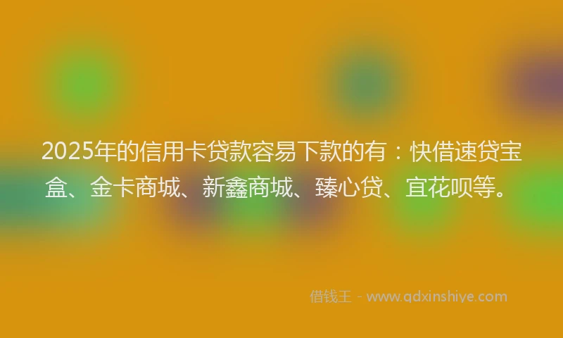 2025年的信用卡贷款容易下款的有：快借速贷宝盒、金卡商城、新鑫商城、臻心贷、宜花呗等。