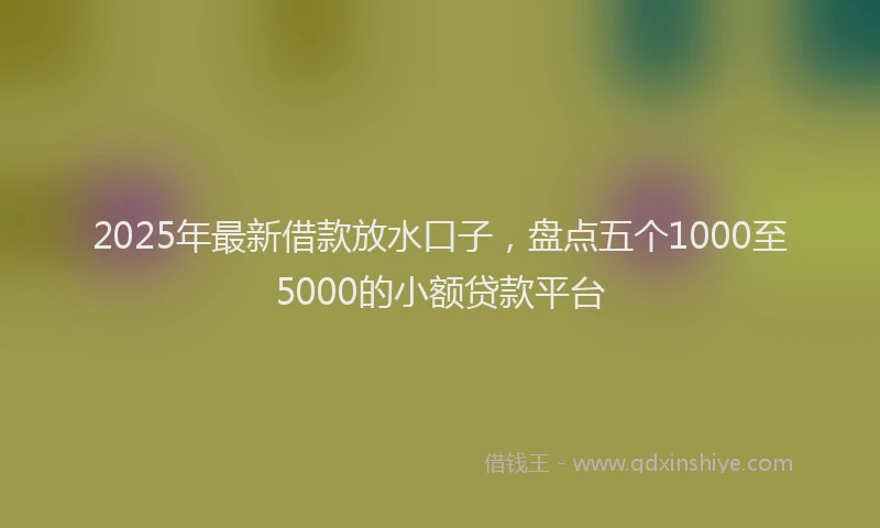 2025年最新借款放水口子，盘点五个1000至5000的小额贷款平台