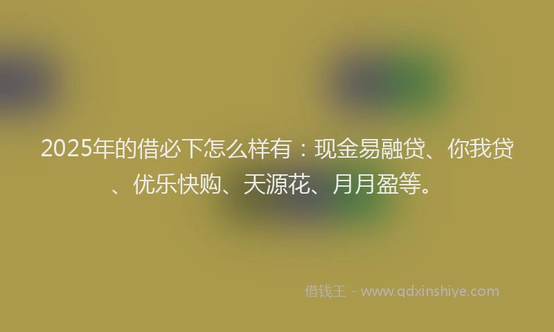 2025年的借必下怎么样有：现金易融贷、你我贷、优乐快购、天源花、月月盈等。