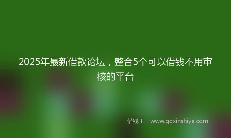 2025年最新借款论坛，整合5个可以借钱不用审核的平台