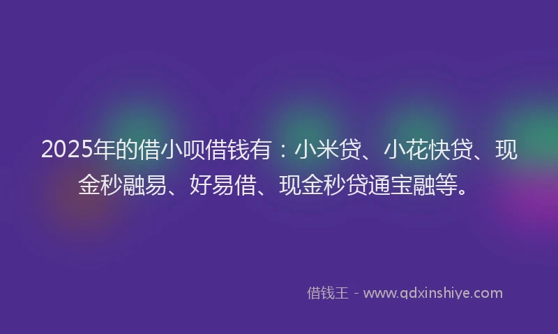 2025年的借小呗借钱有：小米贷、小花快贷、现金秒融易、好易借、现金秒贷通宝融等。