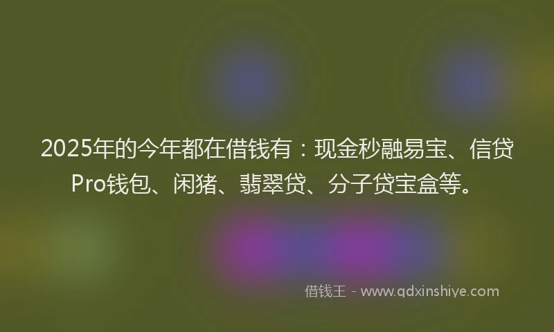 2025年的今年都在借钱有：现金秒融易宝、信贷Pro钱包、闲猪、翡翠贷、分子贷宝盒等。