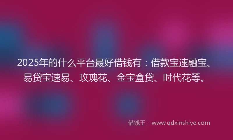 2025年的什么平台最好借钱有：借款宝速融宝、易贷宝速易、玫瑰花、金宝盒贷、时代花等。