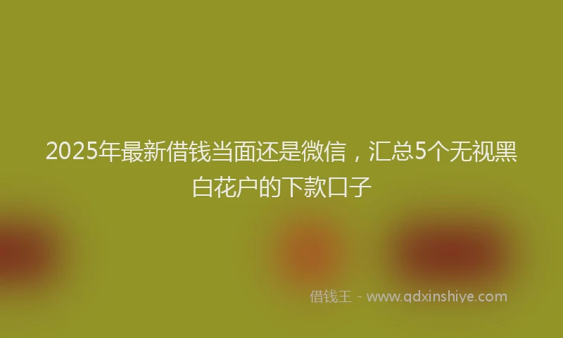 2025年最新借钱当面还是微信，汇总5个无视黑白花户的下款口子