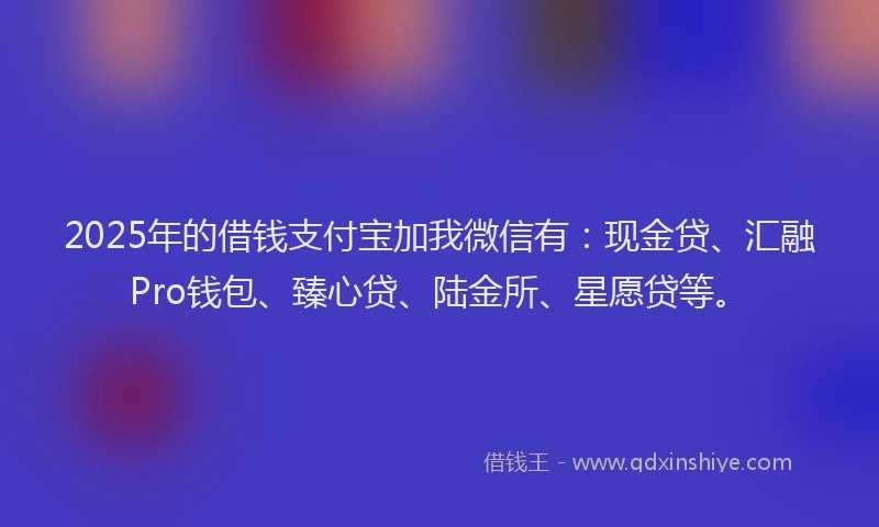 2025年的借钱支付宝加我微信有：现金贷、汇融Pro钱包、臻心贷、陆金所、星愿贷等。