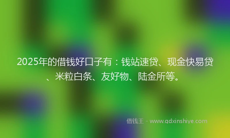 2025年的借钱好口子有：钱站速贷、现金快易贷、米粒白条、友好物、陆金所等。