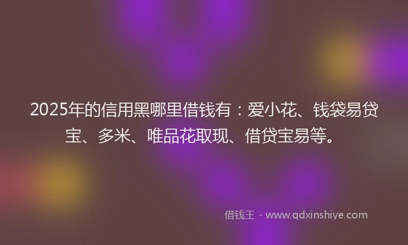 2025年的信用黑哪里借钱有：爱小花、钱袋易贷宝、多米、唯品花取现、借贷宝易等。