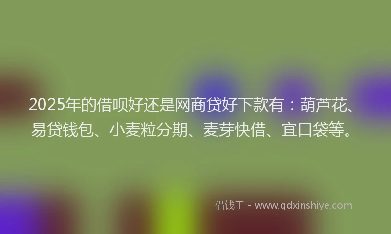 2025年的借呗好还是网商贷好下款有：葫芦花、易贷钱包、小麦粒分期、麦芽快借、宜口袋等。