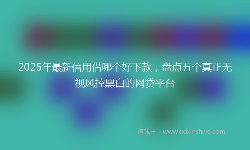 2025年最新信用借哪个好下款，盘点五个真正无视风控黑白的网贷平台