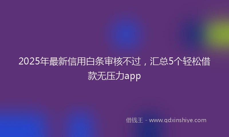 2025年最新信用白条审核不过，汇总5个轻松借款无压力app
