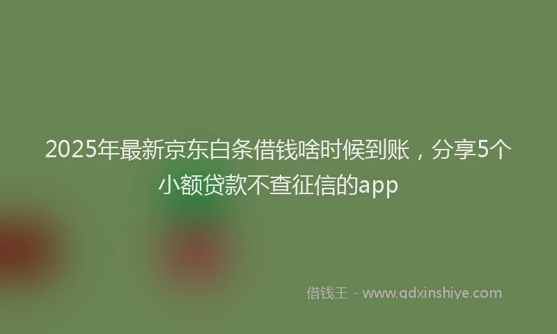 2025年最新京东白条借钱啥时候到账，分享5个小额贷款不查征信的app