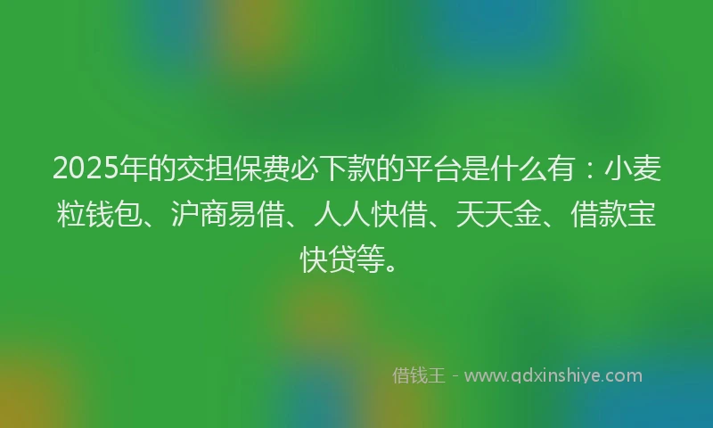 2025年的交担保费必下款的平台是什么有：小麦粒钱包、沪商易借、人人快借、天天金、借款宝快贷等。