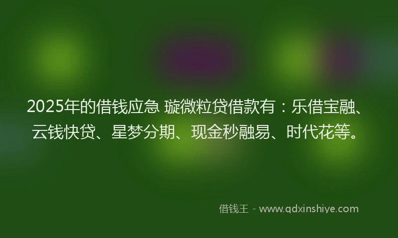 2025年的借钱应急 璇微粒贷借款有：乐借宝融、云钱快贷、星梦分期、现金秒融易、时代花等。