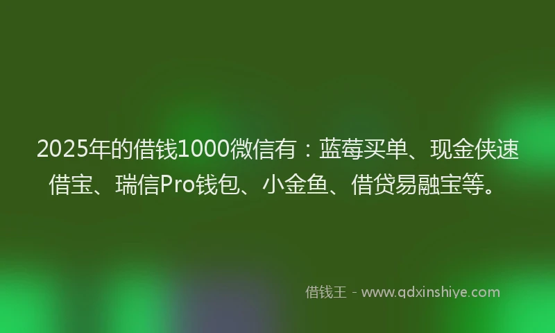 2025年的借钱1000微信有：蓝莓买单、现金侠速借宝、瑞信Pro钱包、小金鱼、借贷易融宝等。