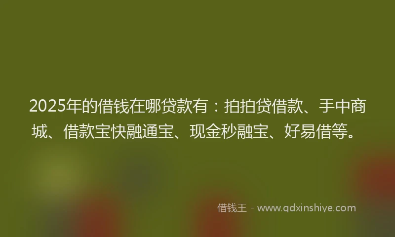 2025年的借钱在哪贷款有：拍拍贷借款、手中商城、借款宝快融通宝、现金秒融宝、好易借等。