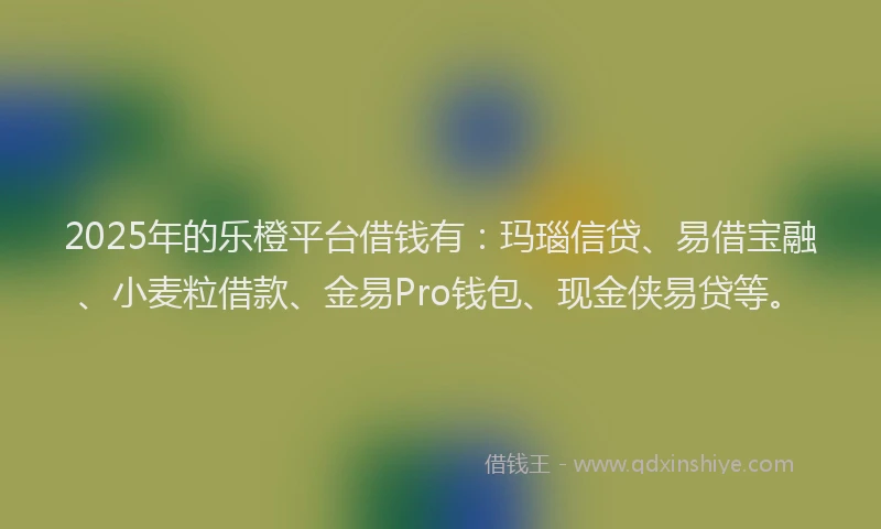 2025年的乐橙平台借钱有：玛瑙信贷、易借宝融、小麦粒借款、金易Pro钱包、现金侠易贷等。