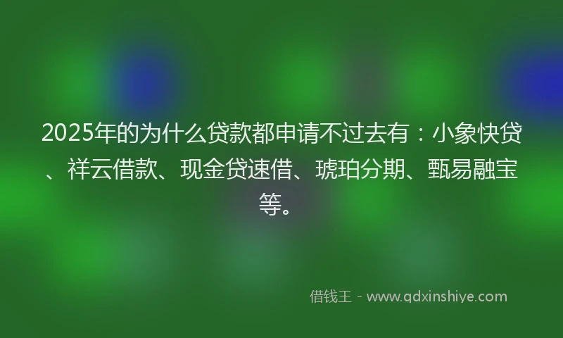 2025年的为什么贷款都申请不过去有：小象快贷、祥云借款、现金贷速借、琥珀分期、甄易融宝等。