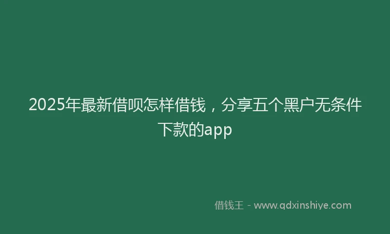 2025年最新借呗怎样借钱，分享五个黑户无条件下款的app