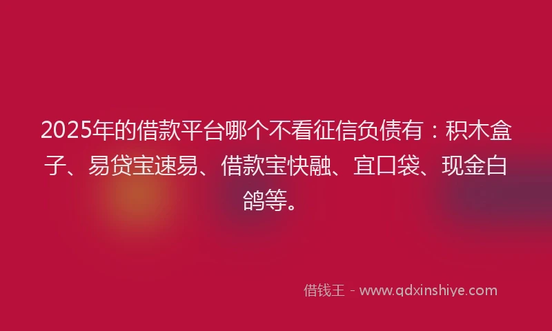 2025年的借款平台哪个不看征信负债有：积木盒子、易贷宝速易、借款宝快融、宜口袋、现金白鸽等。