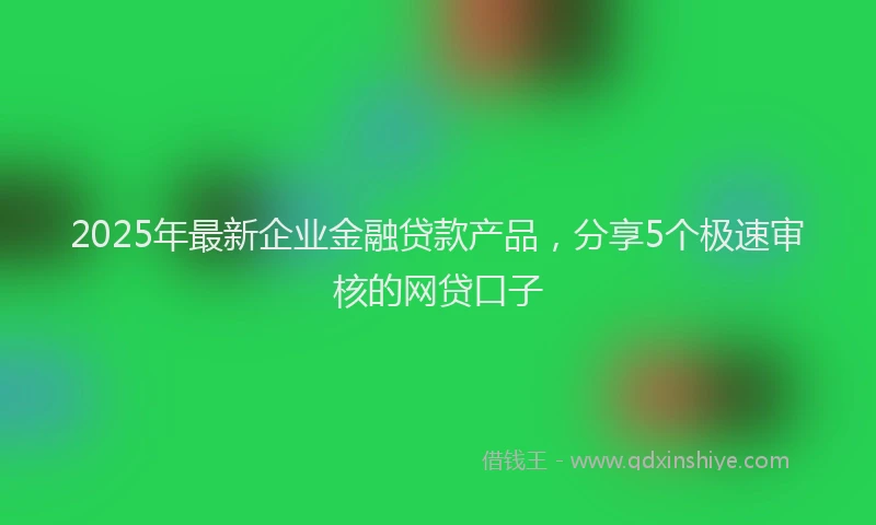 2025年最新企业金融贷款产品，分享5个极速审核的网贷口子