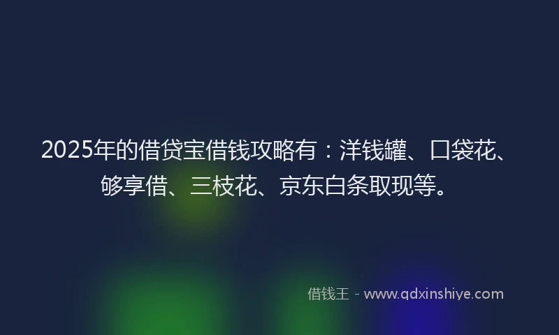 2025年的借贷宝借钱攻略有：洋钱罐、口袋花、够享借、三枝花、京东白条取现等。
